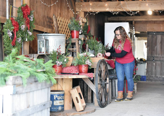 No. 34, Log Barn/Christmas Tree Farm, Williamsfield